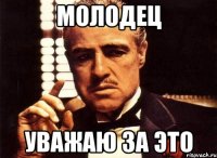 МОЛОДЕЦ УВАЖАЮ ЗА ЭТО