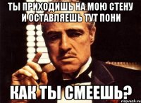 ты приходишь на мою стену и оставляешь тут пони как ты смеешь?