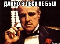 давно в лесу не был 