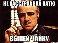 Не расстраивай катю выпей чайку