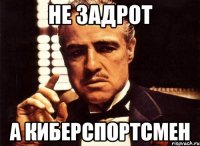 Не задрот А киберспортсмен
