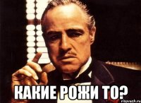  КАКИЕ РОЖИ ТО?