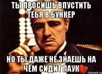 ты просишь впустить тебя в бункер но ты даже не знаешь на чём сидит паук