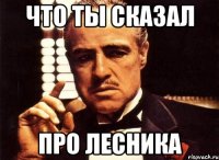 Что ты сказал про лесника