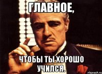 Главное, Чтобы ты хорошо учился.
