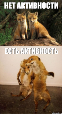 Нет активности Есть активность