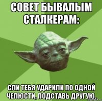 Совет бывалым сталкерам: сли тебя ударили по одной челюсти, подставь другую.