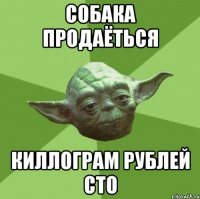 СОБАКА ПРОДАЁТЬСЯ КИЛЛОГРАМ РУБЛЕЙ СТО