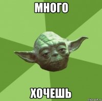 Много Хочешь