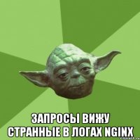  запросы вижу странные в логах nginx