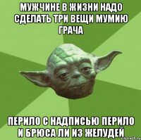 мужчине в жизни надо сделать три вещи мумию грача перило с надписью перило и брюса ли из желудей