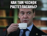 как там чеснок растет,пасаны? 