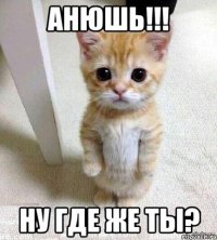 Анюшь!!! Ну где же ты?