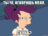 ты чё, игноришь меня, сучка?