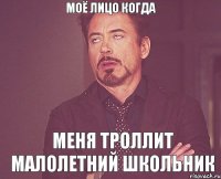 Моё лицо когда меня троллит малолетний школьник