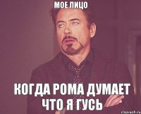 Мое лицо Когда рома думает что я гусь