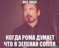 Мое лицо Когда рома думает что я зеленая сопля.