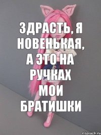 Здрасть, я новенькая, а это на ручках мои братишки