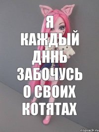 я каждый дннь забочусь о своих котятах