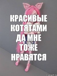 Красивые котятами да мне тоже нравятся