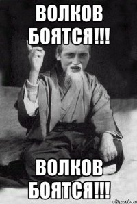 ВОЛКОВ БОЯТСЯ!!! ВОЛКОВ БОЯТСЯ!!!