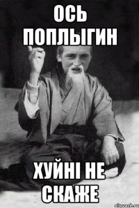 ось поплыгин хуйнi не скаже