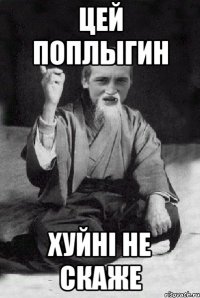 цей поплыгин хуйнi не скаже