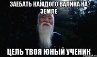 Заебать каждого Валика на Земле цель твоя юный ученик
