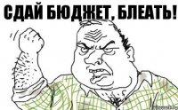 Сдай бюджет, блеать!