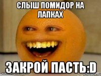 СЛЫШ ПОМИДОР НА ЛАПКАХ ЗАКРОЙ ПАСТЬ:D