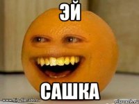 Эй Сашка