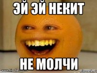 ЭЙ ЭЙ НЕКИТ НЕ МОЛЧИ