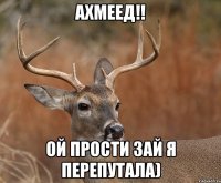 Ахмеед!! Ой прости зай я перепутала)