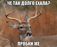 че так долго ехала? пробки же