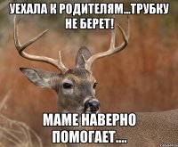 Уехала к Родителям...трубку не берет! Маме наверно помогает....