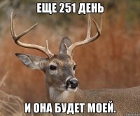 Еще 251 день и она будет моей.