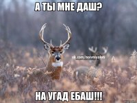 А ты мне даш? На угад ебаШ!!!