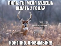 Лиль, ты меня будешь ждать 2 года? Конечно, любимый!!!