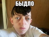 быдло 
