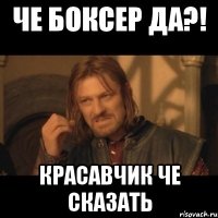 Че Боксер да?! Красавчик че сказать