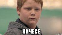  ничесе