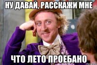 НУ ДАВАЙ, РАССКАЖИ МНЕ ЧТО ЛЕТО ПРОЕБАНО