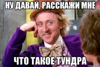 Ну давай, расскажи мне что такое тундра