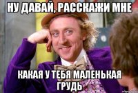 ну давай, расскажи мне какая у тебя маленькая грудь