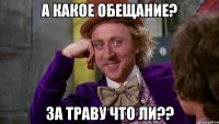 а какое обещание? за траву что ли??