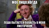 Мое лицо,когда Леша пытается попасть в меня листочком