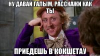 ну давай Галым, расскажи как ты приедешь в Кокшетау