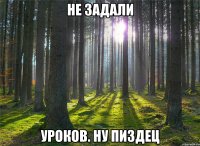 Не задали Уроков. Ну пиздец