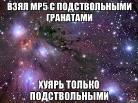 Взял Mp5 с подствольными гранатами Хуярь только подствольными