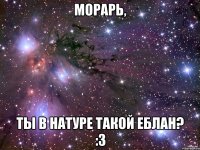 Морарь, Ты в натуре такой еблан? :з